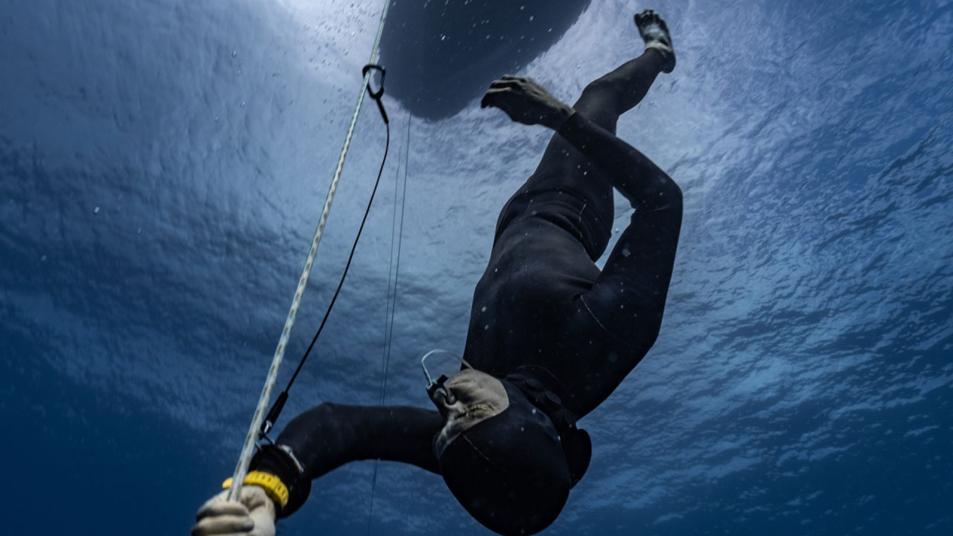 Blue-Caledonia-Diving-Nouméa (14)