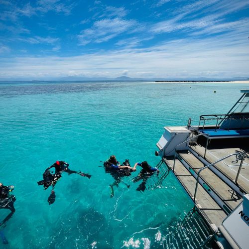 Blue-Caledonia-Diving-Nouméa (5)