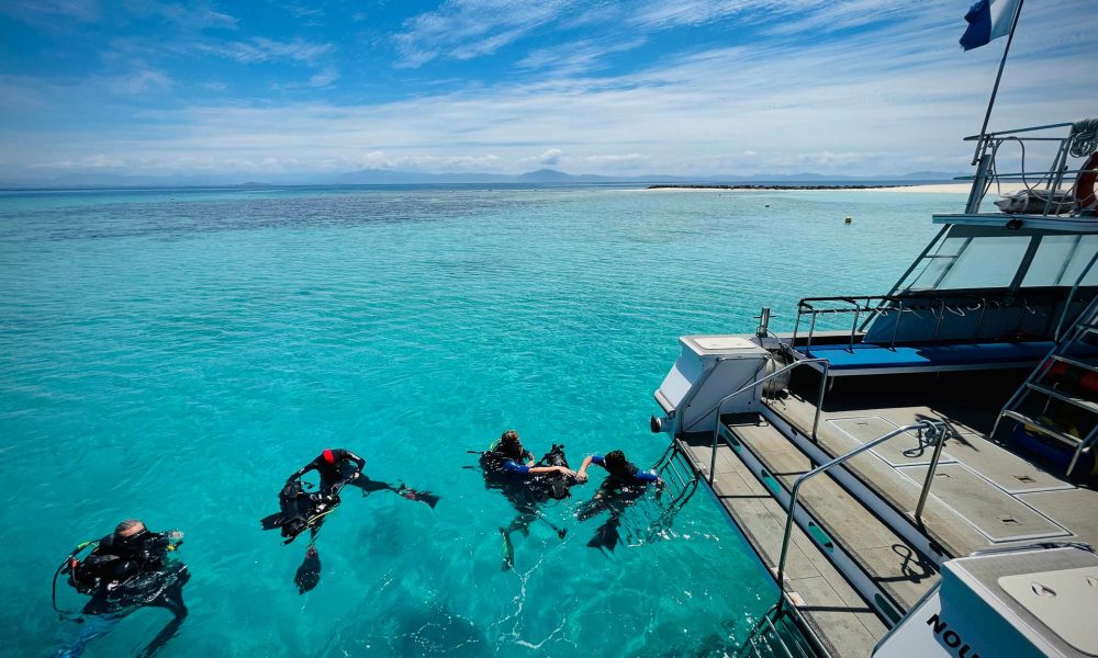 Blue-Caledonia-Diving-Nouméa (5)