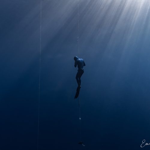 Blue-Caledonia-Diving-Nouméa (8)