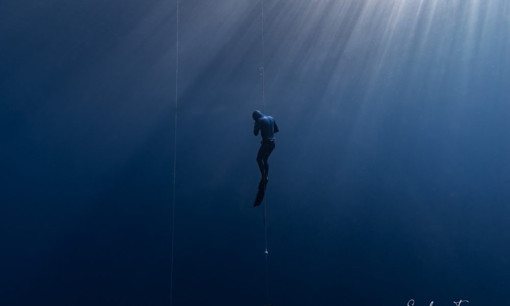 Blue-Caledonia-Diving-Nouméa (8)