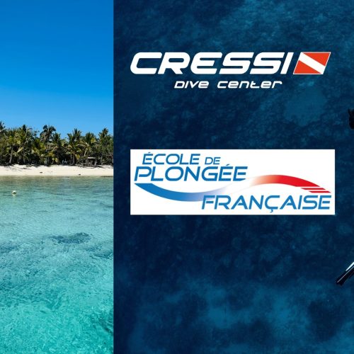 Découverte plongée