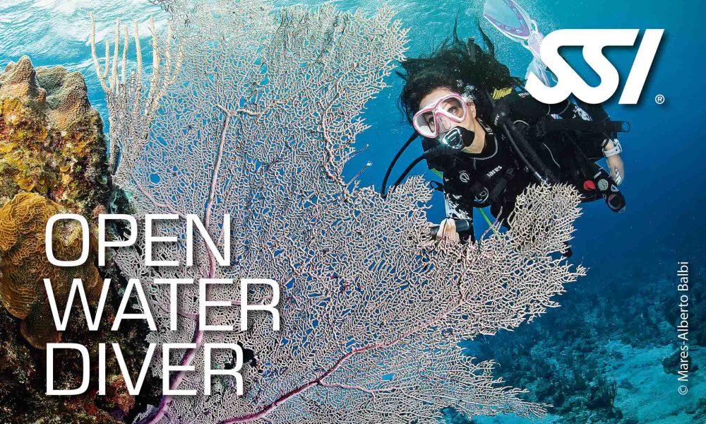 Open Water Diver