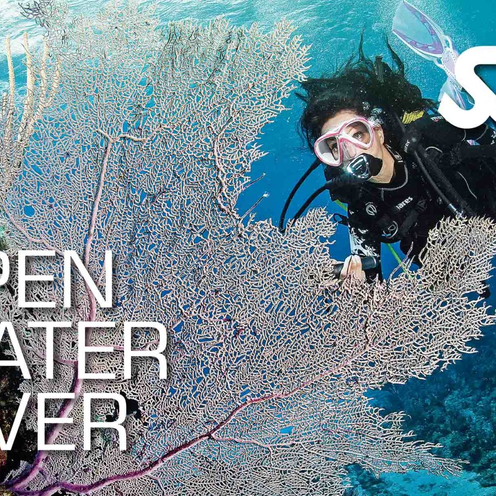 Open Water Diver
