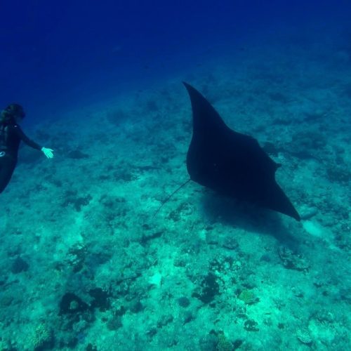 Produit Decouverte Apnée
