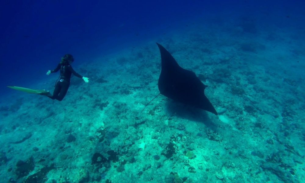 Produit Decouverte Apnée