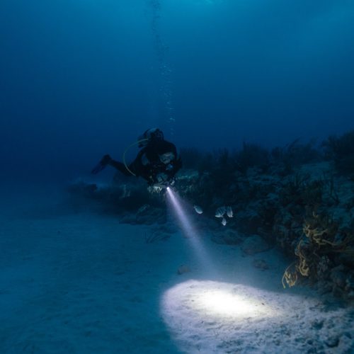 female scuba diver posing in front of coral reef in a night dive