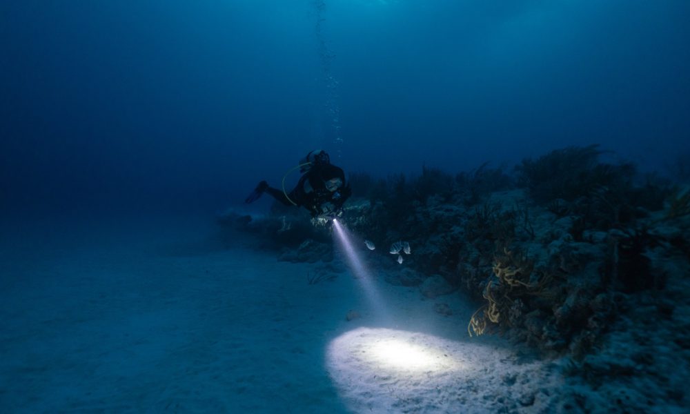 female scuba diver posing in front of coral reef in a night dive